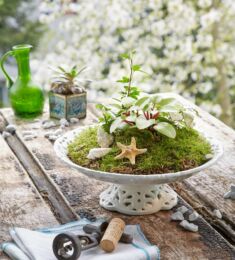 Styling & Set Design für Buch "Shabby Charme im Garten"